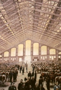 Tony Garnier market