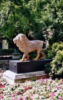 A lion in the museum