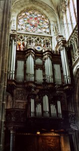 Organ